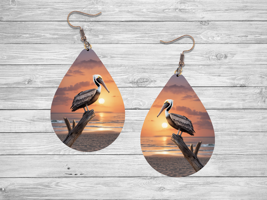 Raindrop Brown Pelican